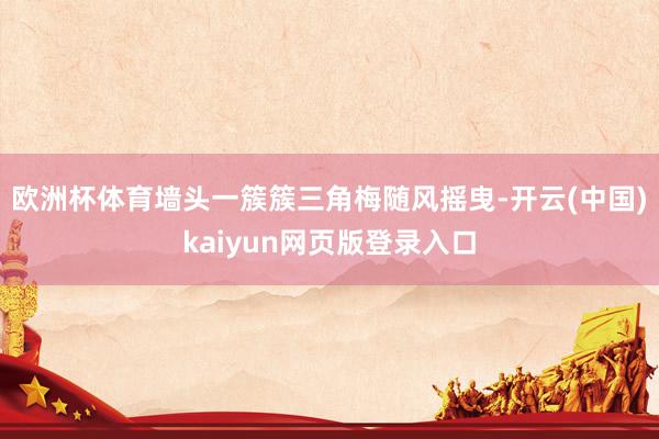 欧洲杯体育墙头一簇簇三角梅随风摇曳-开云(中国)kaiyun网页版登录入口