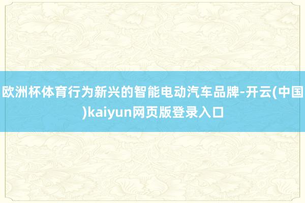 欧洲杯体育行为新兴的智能电动汽车品牌-开云(中国)kaiyun网页版登录入口