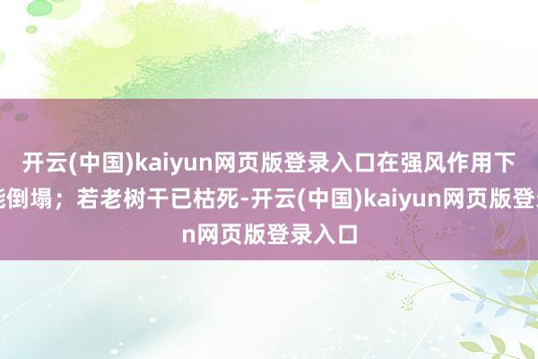 开云(中国)kaiyun网页版登录入口在强风作用下有可能倒塌；若老树干已枯死-开云(中国)kaiyun网页版登录入口
