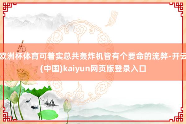 欧洲杯体育可着实总共轰炸机皆有个要命的流弊-开云(中国)kaiyun网页版登录入口