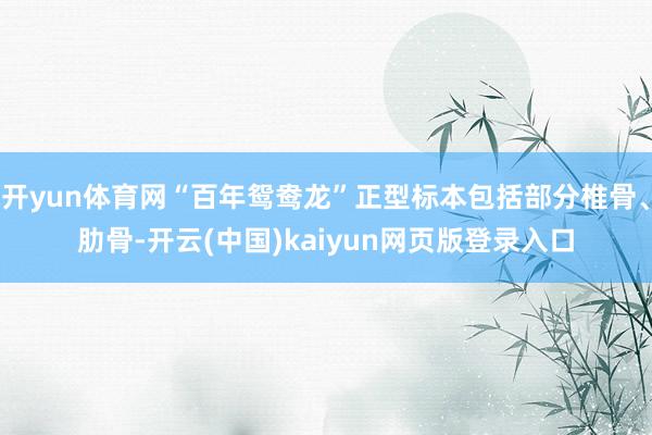 开yun体育网“百年鸳鸯龙”正型标本包括部分椎骨、肋骨-开云(中国)kaiyun网页版登录入口