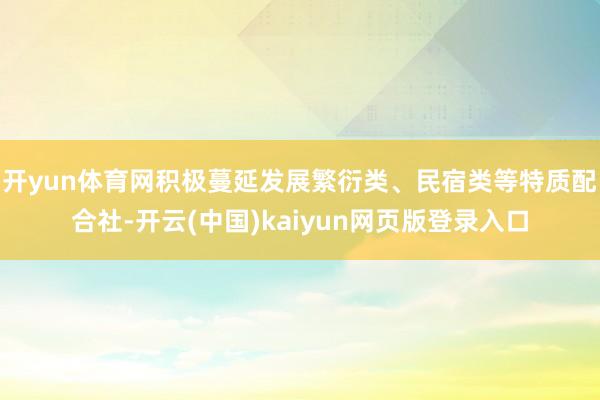 开yun体育网积极蔓延发展繁衍类、民宿类等特质配合社-开云(中国)kaiyun网页版登录入口