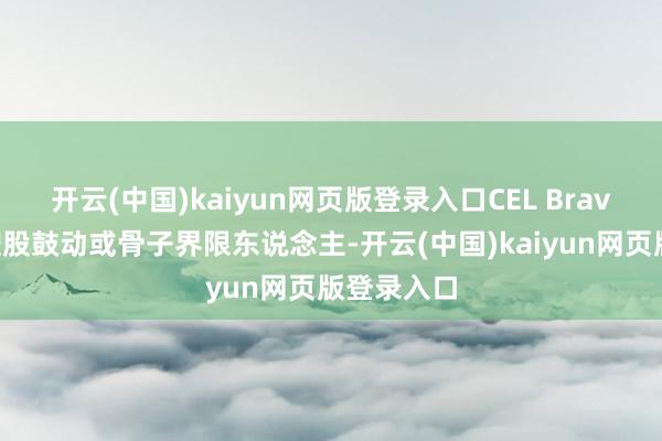 开云(中国)kaiyun网页版登录入口CEL Bravo不属于控股鼓动或骨子界限东说念主-开云(中国)kaiyun网页版登录入口