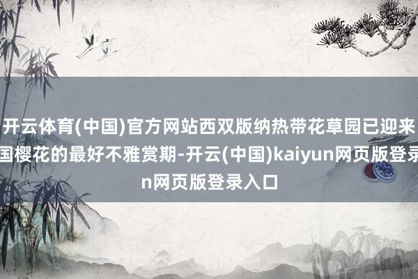 开云体育(中国)官方网站西双版纳热带花草园已迎来了泰国樱花的最好不雅赏期-开云(中国)kaiyun网页版登录入口