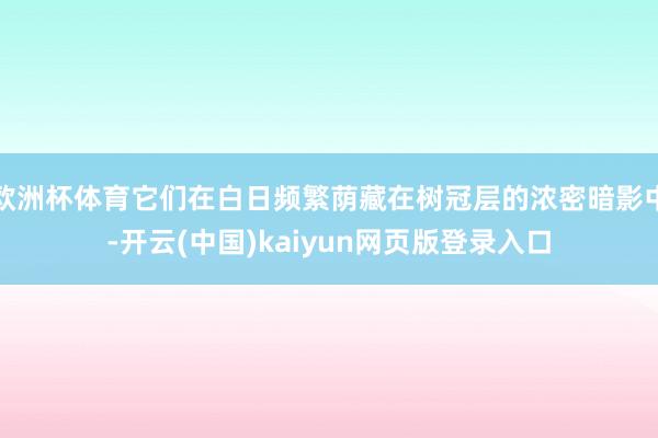 欧洲杯体育它们在白日频繁荫藏在树冠层的浓密暗影中-开云(中国)kaiyun网页版登录入口