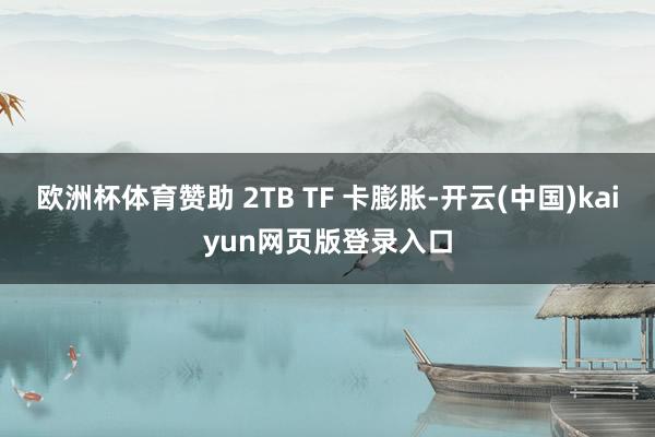 欧洲杯体育赞助 2TB TF 卡膨胀-开云(中国)kaiyun网页版登录入口