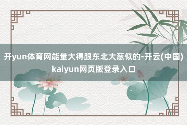 开yun体育网能量大得跟东北大葱似的-开云(中国)kaiyun网页版登录入口