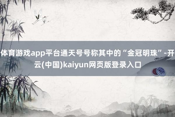 体育游戏app平台通天号号称其中的“金冠明珠”-开云(中国)kaiyun网页版登录入口