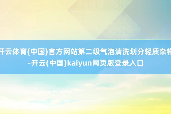 开云体育(中国)官方网站第二级气泡清洗划分轻质杂物-开云(中国)kaiyun网页版登录入口