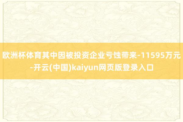 欧洲杯体育其中因被投资企业亏蚀带来-11595万元-开云(中国)kaiyun网页版登录入口