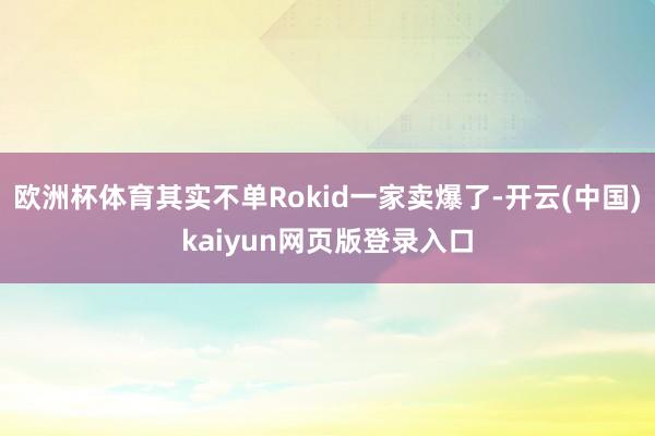 欧洲杯体育其实不单Rokid一家卖爆了-开云(中国)kaiyun网页版登录入口
