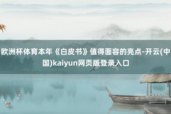欧洲杯体育本年《白皮书》值得面容的亮点-开云(中国)kaiyun网页版登录入口