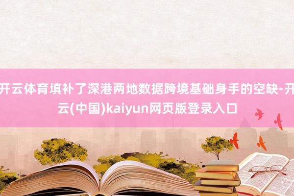 开云体育填补了深港两地数据跨境基础身手的空缺-开云(中国)kaiyun网页版登录入口