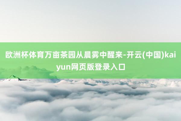 欧洲杯体育万亩茶园从晨雾中醒来-开云(中国)kaiyun网页版登录入口