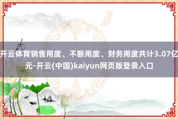 开云体育销售用度、不断用度、财务用度共计3.07亿元-开云(中国)kaiyun网页版登录入口