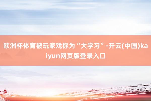 欧洲杯体育被玩家戏称为“大学习”-开云(中国)kaiyun网页版登录入口