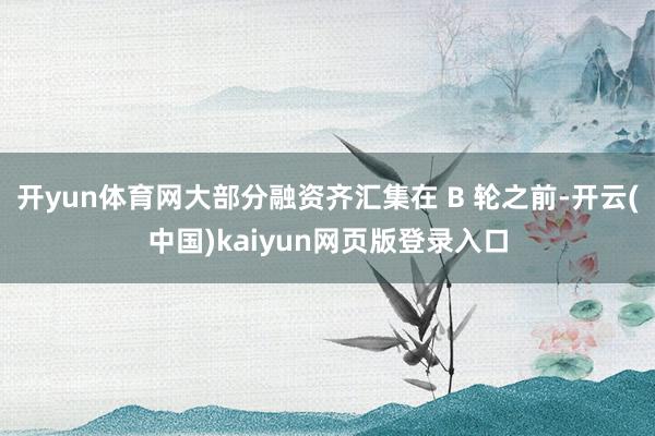 开yun体育网大部分融资齐汇集在 B 轮之前-开云(中国)kaiyun网页版登录入口