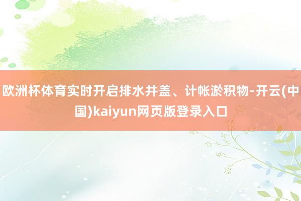 欧洲杯体育实时开启排水井盖、计帐淤积物-开云(中国)kaiyun网页版登录入口