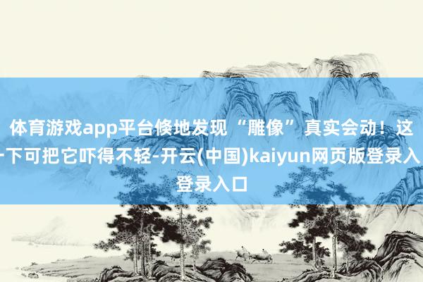 体育游戏app平台倏地发现 “雕像” 真实会动！这一下可把它吓得不轻-开云(中国)kaiyun网页版登录入口